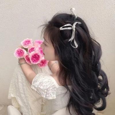 布里斯营